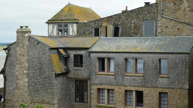 Choose our trusted moss removal services in Oldham for safe roof cleaning methods, eco-friendly treatments.